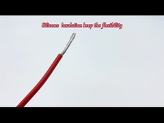 直径のSqmmのどんな電線を捜しているか。|Dingzunの眺めのテフロンULシリーズ|UL3133