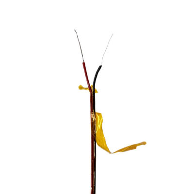 良い値段 Dingzunの熱電対のKaptonの絶縁材のPolyimideのジャケットのタイプKワイヤー オンラインで