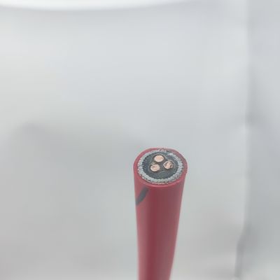 良い値段 計器ケーブル 300/500V 1T2.5 CU/MGT/XLPE/OS/FR/LSZH/GSWA/LSZH 1x3x2.5 オンラインで