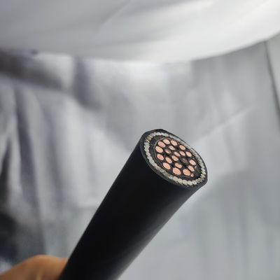 良い値段 計器ケーブル 300/500V 20Cores CU/MGT/XLPE/OS/FR/LSZH/GSWA/LSZH 20х2,5 オンラインで