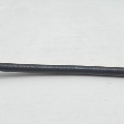 良い値段 カスタムケーブル CU/XLPE/IS/OS/FR/LSZH+RS422/485 装甲 3x2x22awg オンラインで