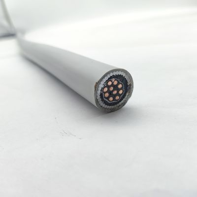 良い値段 計器ケーブル 300/500V CU/MGT/XLPE/OS/FR/LSZH/GSWA/LSZH 10х1 オンラインで